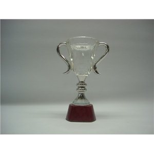 CRISTAL OPTICO Ref ZS09-6001