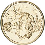 PASTILLA DORADA Ref.f8-CD 50 mm.