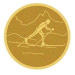 PASTILLA DORADA AUTOADHESIVA Ref.f8-LM