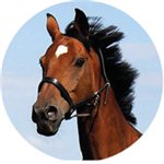 PASTILLA ALUMINIO A COLOR  50 mm. Ref.f8-CG