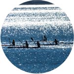 PASTILLA ALUMINIO A COLOR  50 mm. Ref.f8-CG