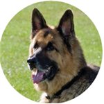 PASTILLA ALUMINIO A COLOR  50 mm. Ref.f8-CG