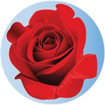 PASTILLA ALUMINIO A COLOR  50 mm. Ref.f8-CG