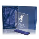 TROFEO CRISTAL Ref.f8-167/15641