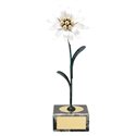 Trofeo flor edelweis  varios tamaños.  Ref - BP292