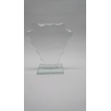 TROFEO GRABABLE CRISTAL 14 CM