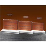 TROFEO NLD  Ref.LG7M039