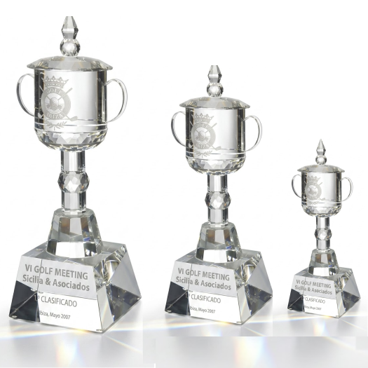Copa Cristal macizo personalizable de trofeos marvi