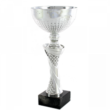 COPA COMERCIAL SENDERO TROFEOS MARVI