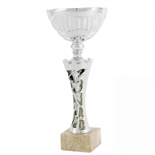 Copa Comercial Mesoiro Trofeos Marvi
